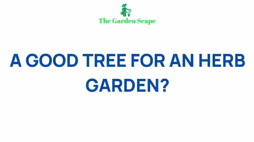 best-trees-for-herb-garden