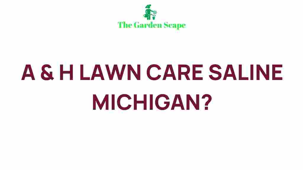 expert-lawn-care-tips