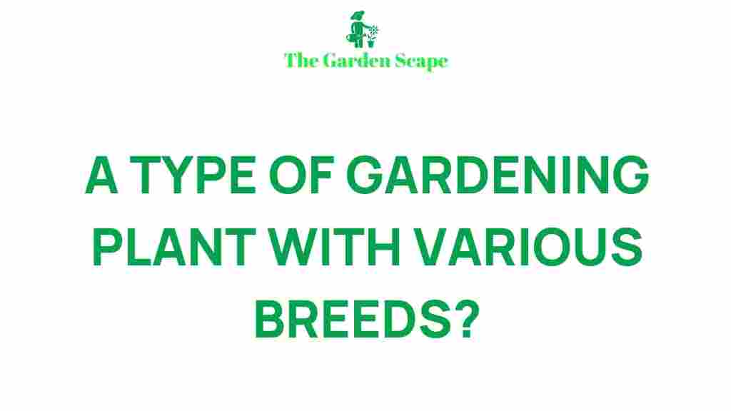 orchid-variety-guide