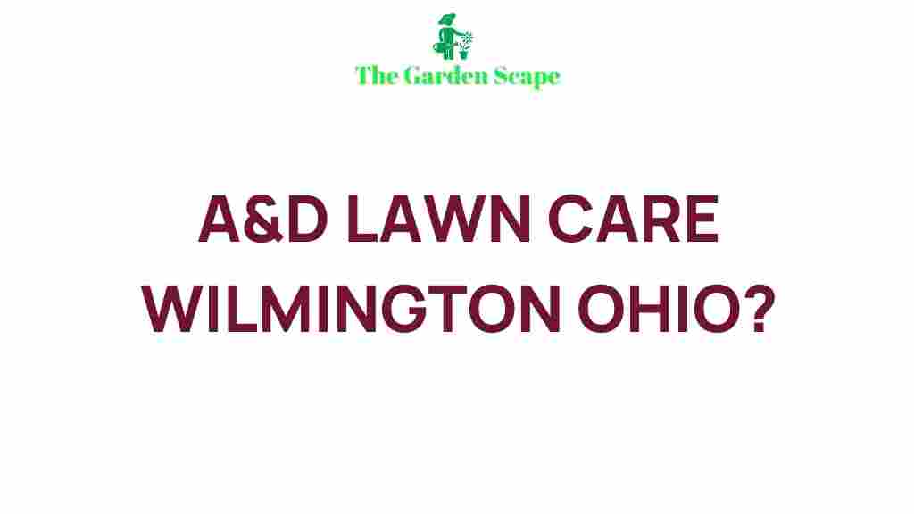 expert-lawn-care-tips
