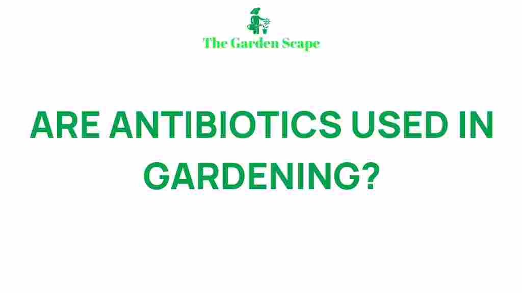 gardening-antibiotics-secrets