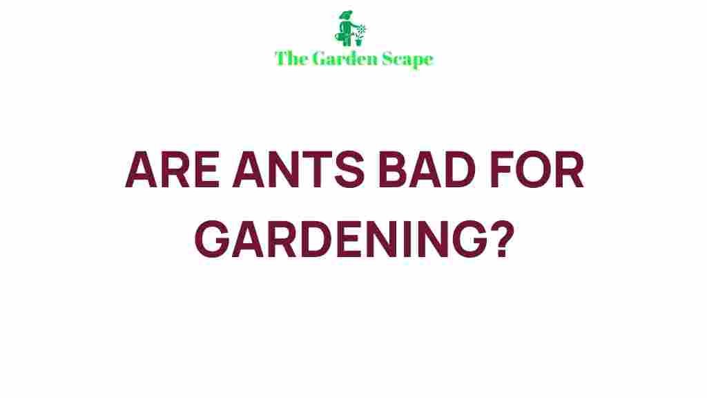 /ants-in-garden