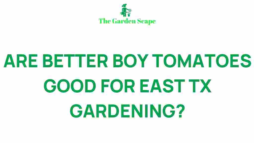 east-texas-gardening-better-boy-tomatoes