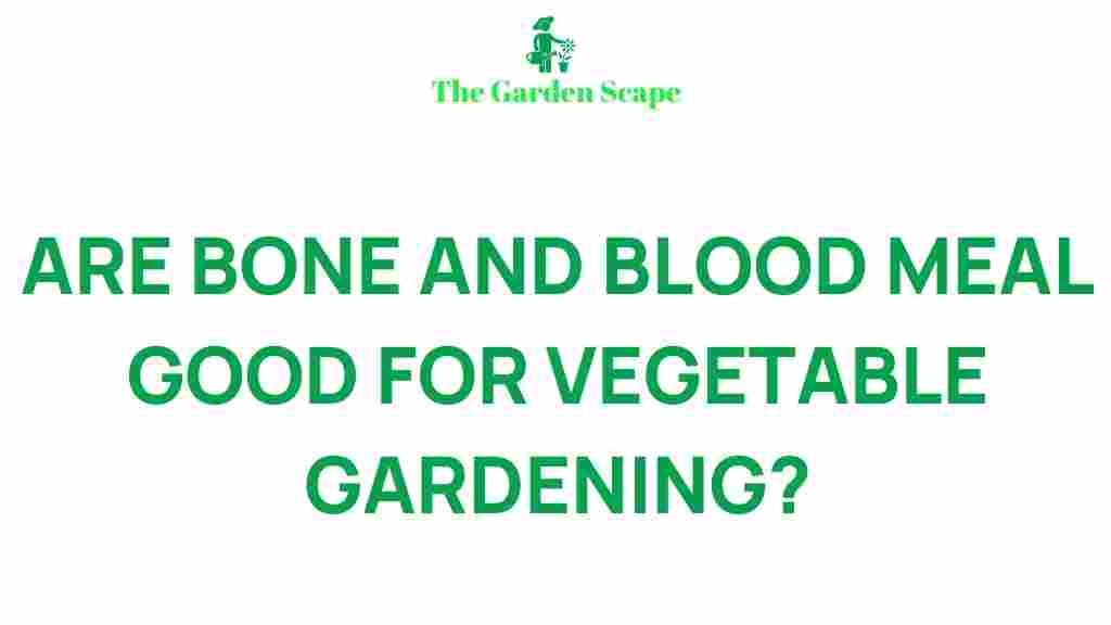 bone-blood-meal-vegetable-garden