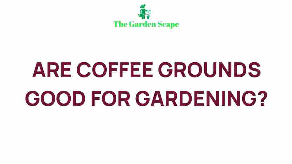 coffee-grounds-gardening-tips