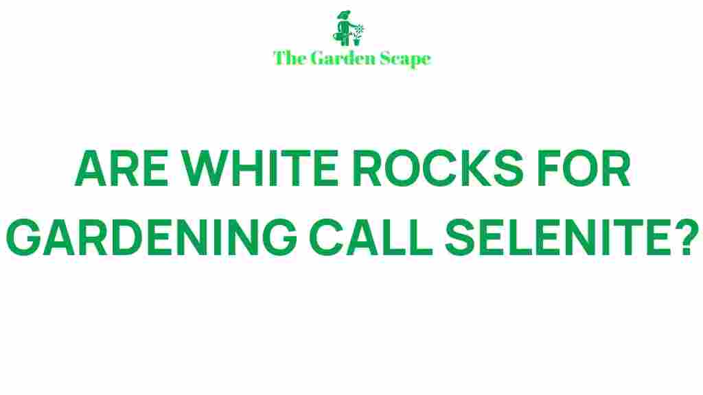 selenite-white-rocks-gardening