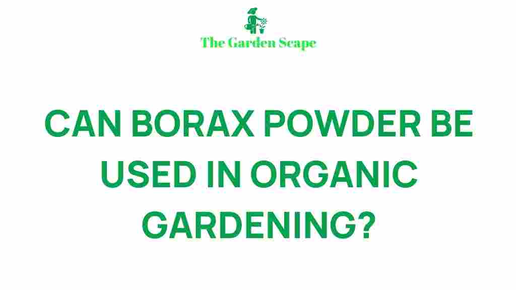 borax-powder-organic-gardening