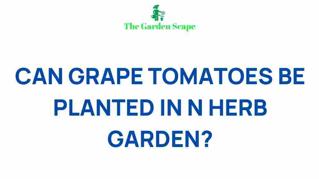 growing-grape-tomatoes-herb-garden