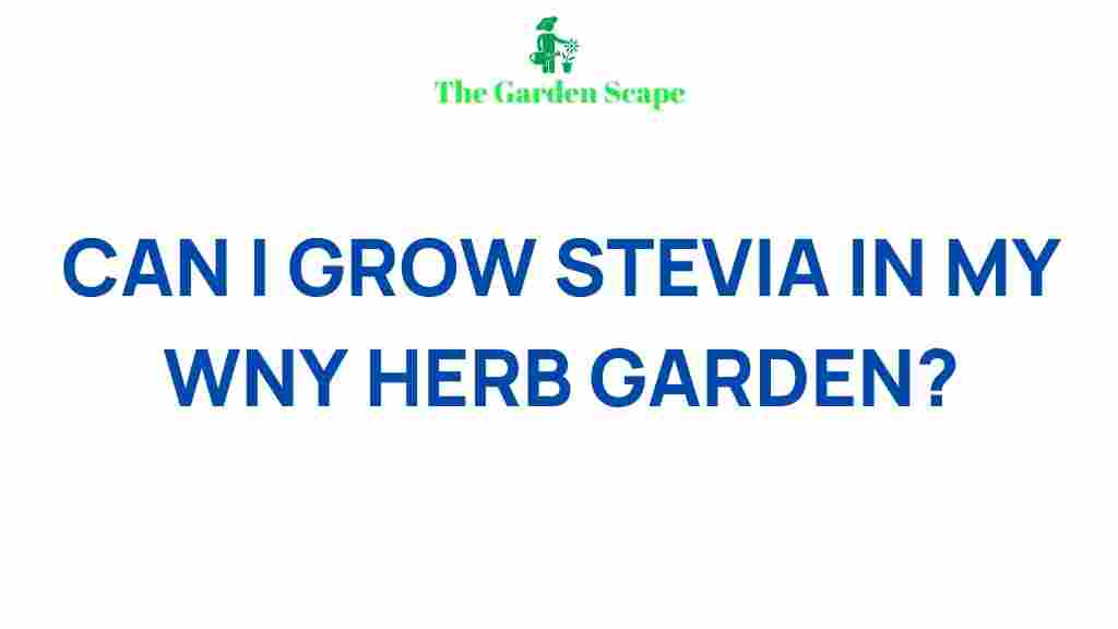 growing-stevia-herb-garden
