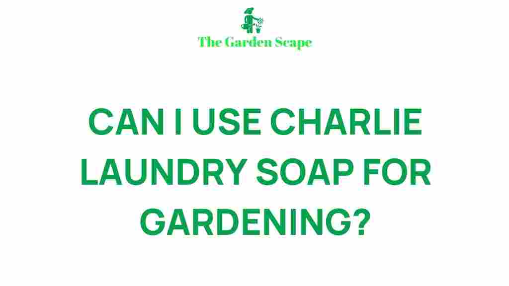 charlie-laundry-soap-gardening