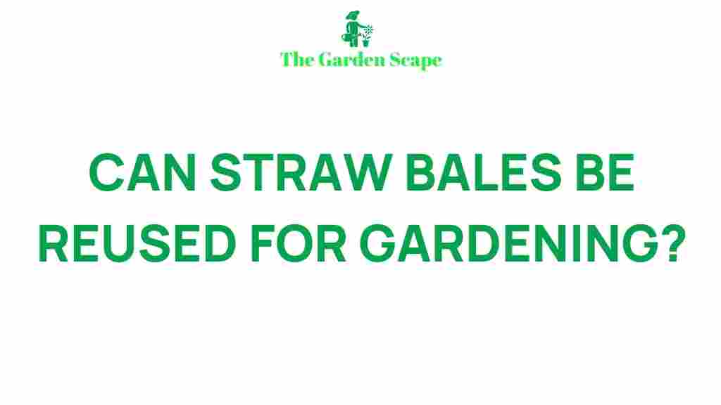 reusing-straw-bales-gardening