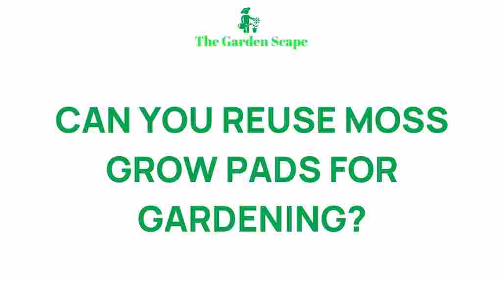 /reusing-moss-grow-pads-gardening