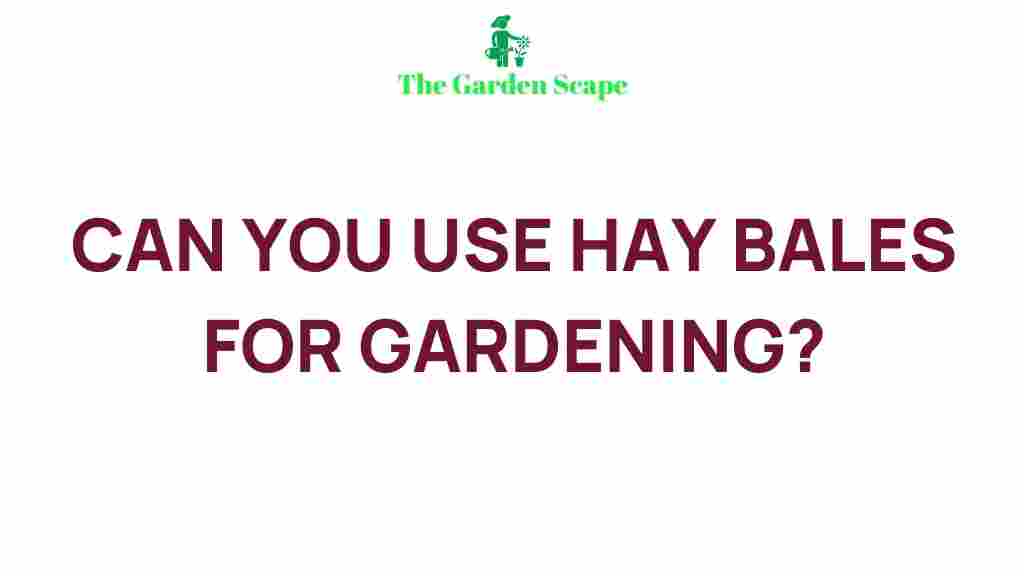 gardening-with-hay-bales