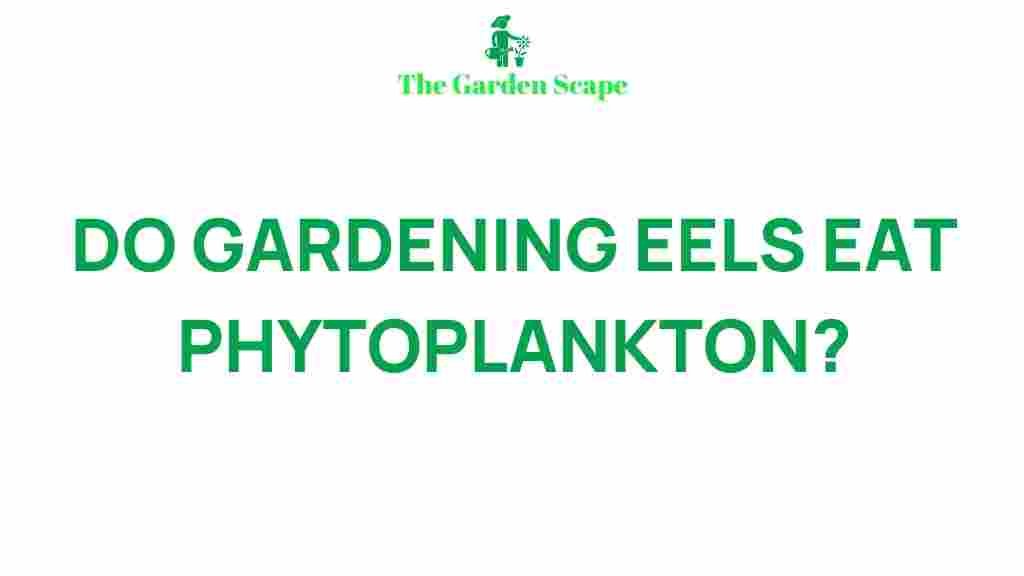 gardening-eels-diet-phytoplankton