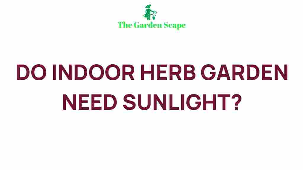 indoor-herb-garden-sunlight-requirements