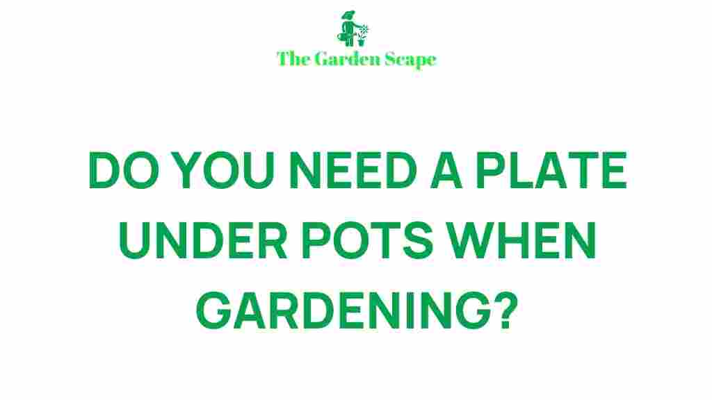 benefits-of-using-a-saucer-under-potted-plants