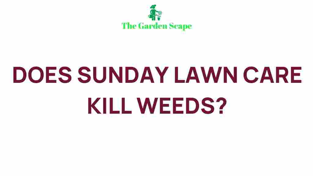 sunday-lawn-care-weed-control