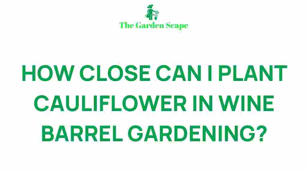 optimal-cauliflower-spacing-wine-barrel-gardening