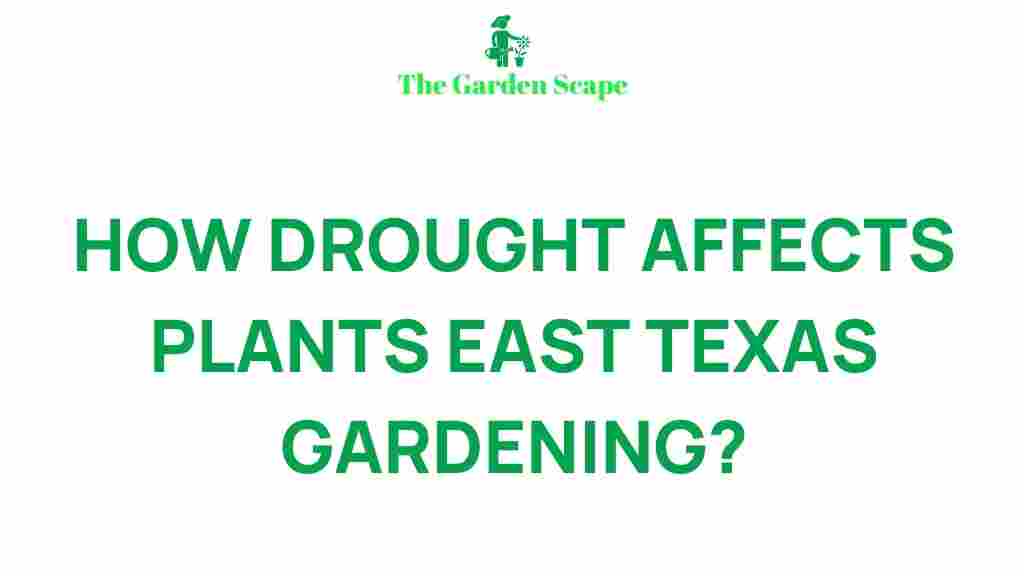 east-texas-gardening-drought-impact