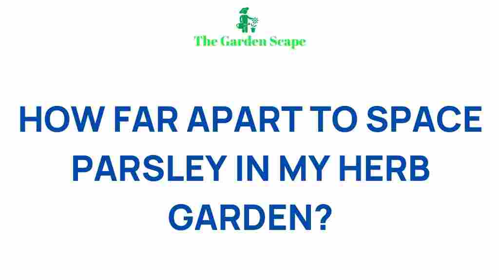 ideal-spacing-parsley-herb-garden
