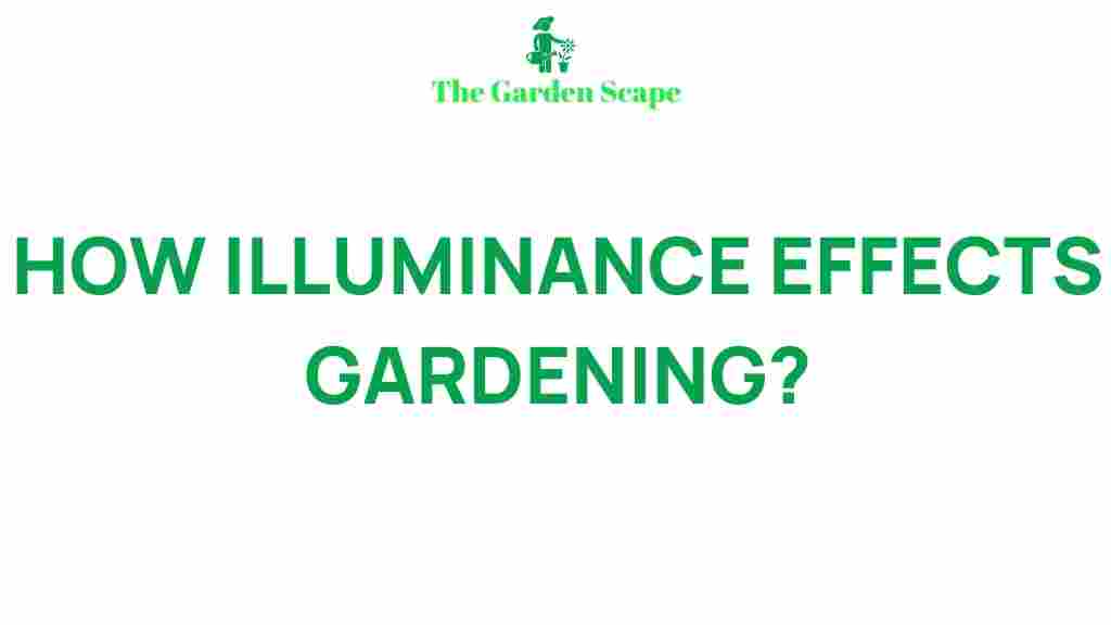 impact-of-illuminance-on-garden