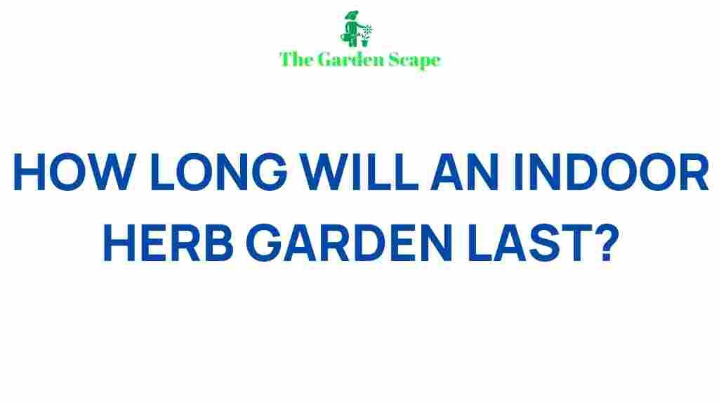 indoor-herb-garden-longevity