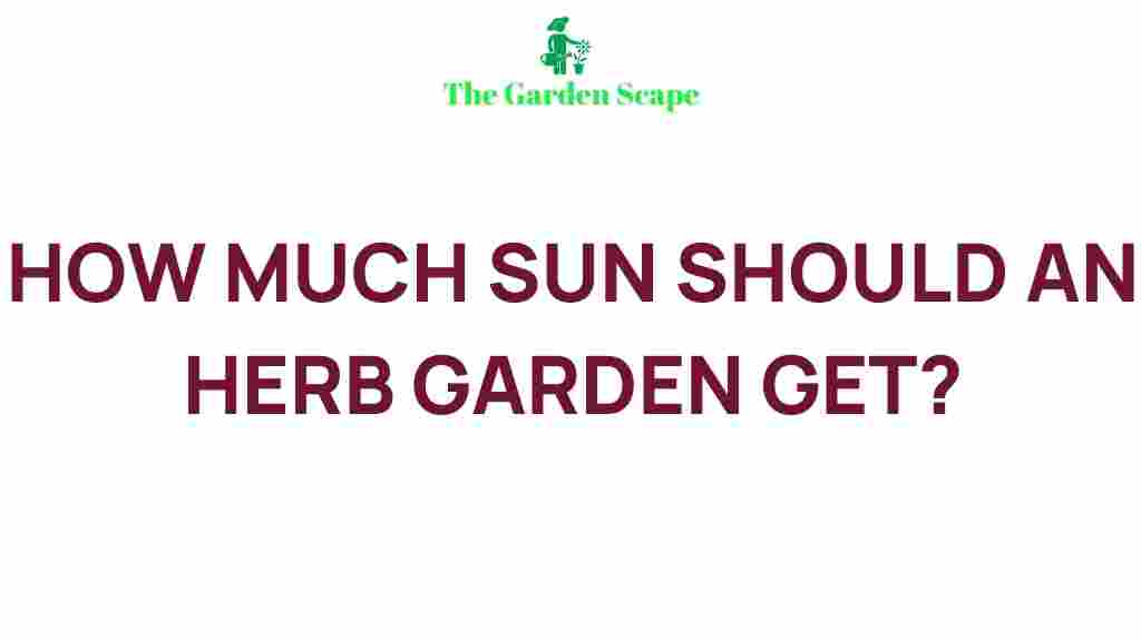 herb-garden-sunlight-requirements