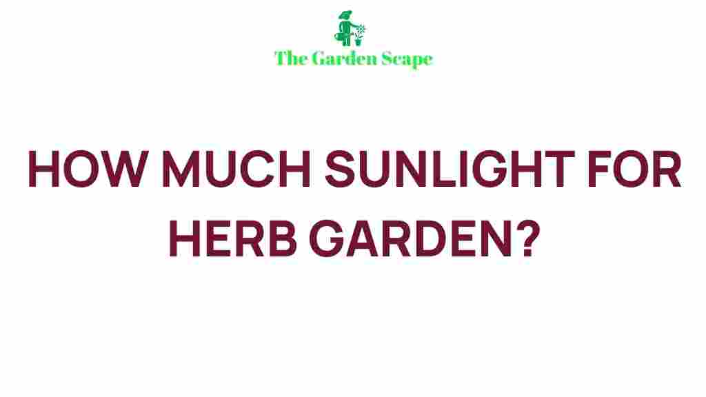 herb-garden-sunlight-tips