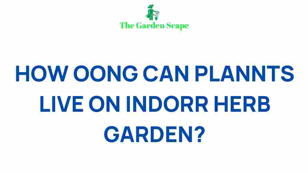 indoor-herb-garden-longevity