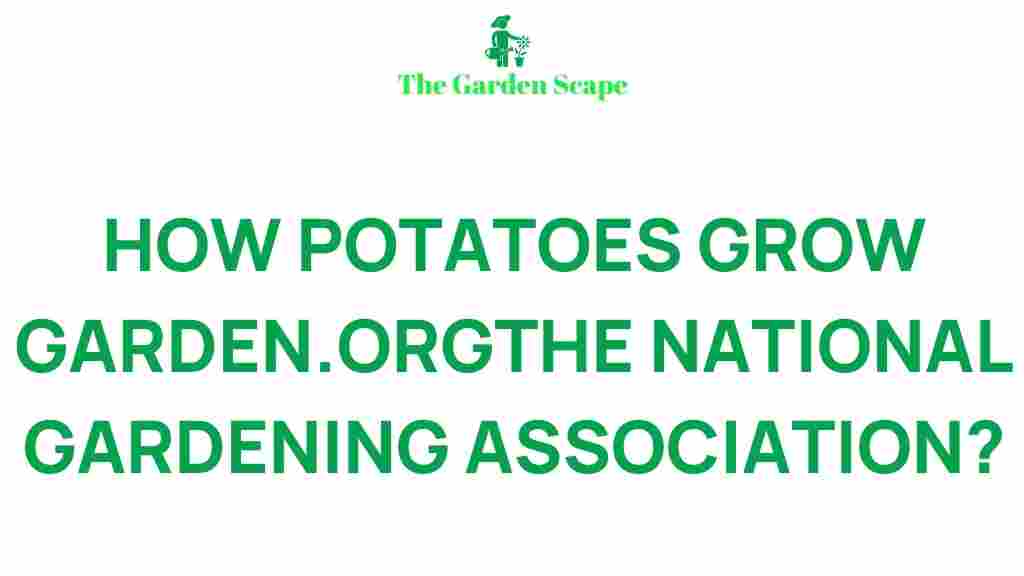 potatoes-grow-mysterious-growth