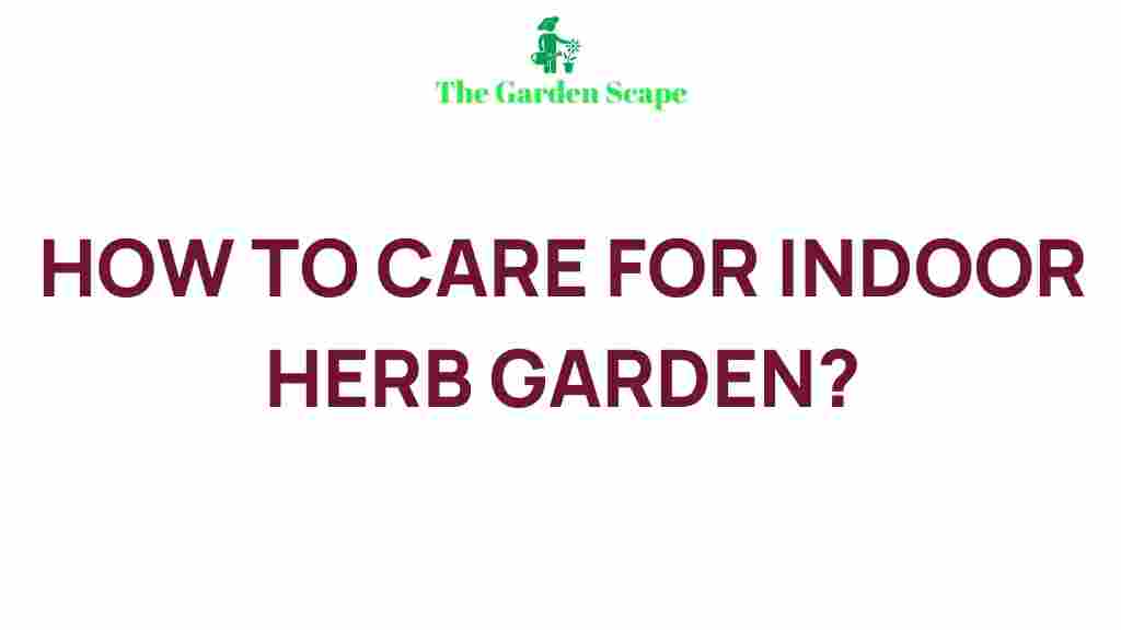 indoor-herb-garden-care-tips