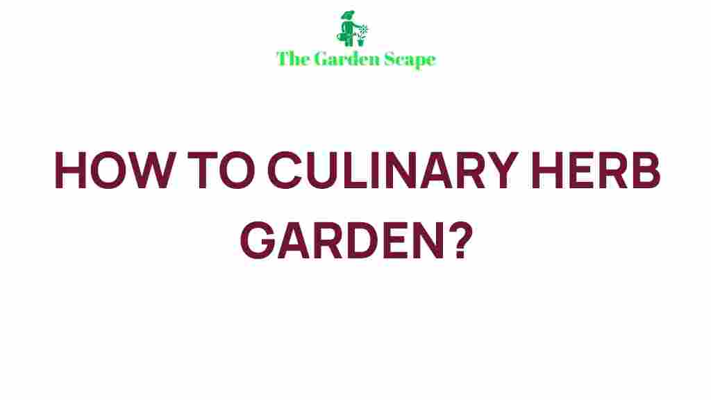 culinary-herb-garden-guide