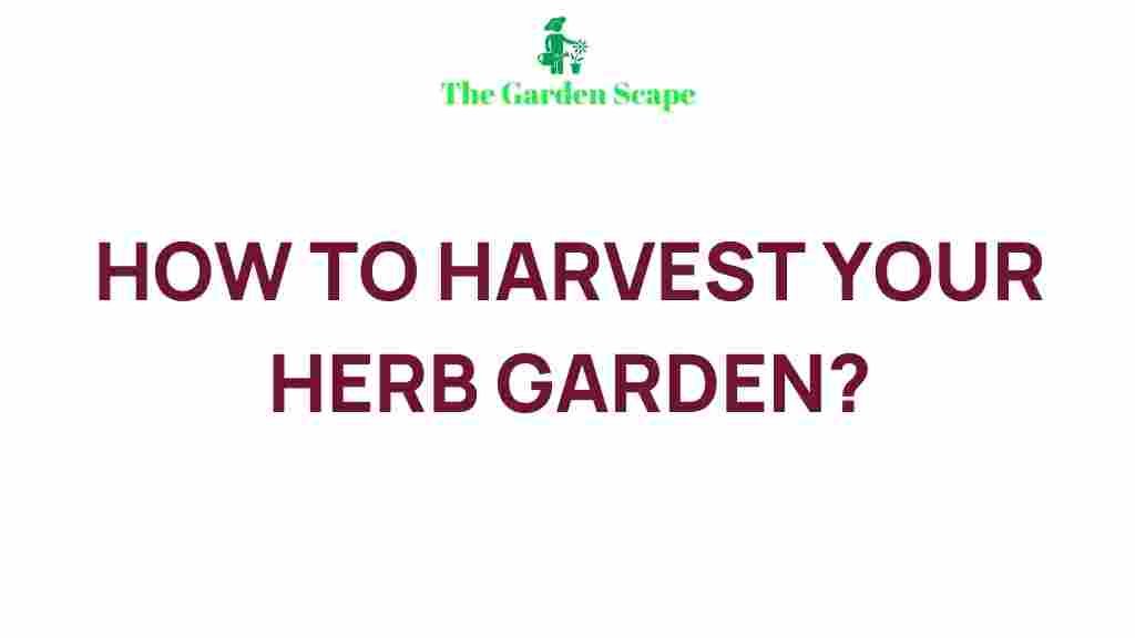 herb-garden-harvesting-tips