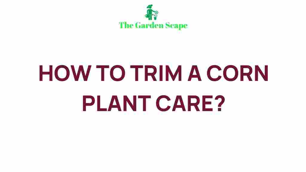 pruning-corn-plant-care