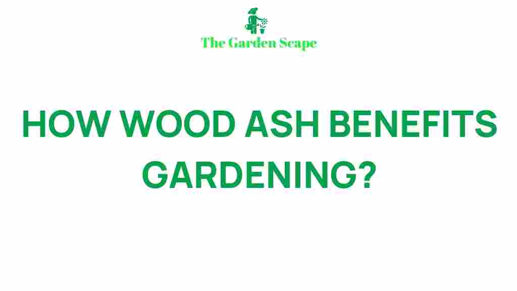 wood-ash-benefits-gardening