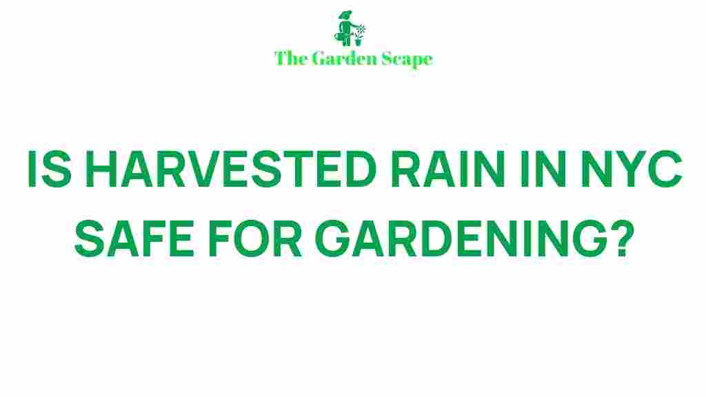 /harvested-rain-nyc-safe-gardening