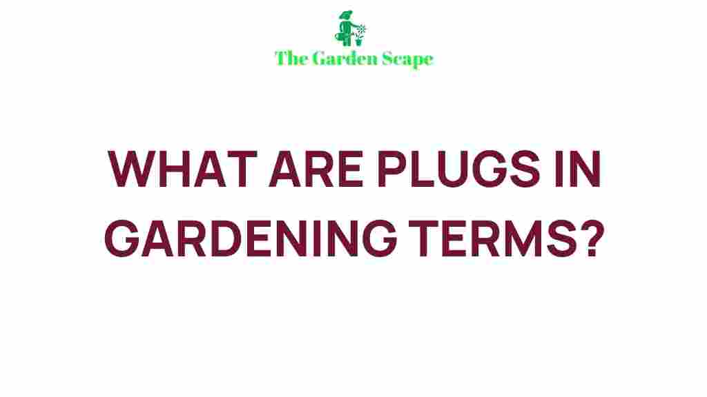 gardening-plant-plugs-tips