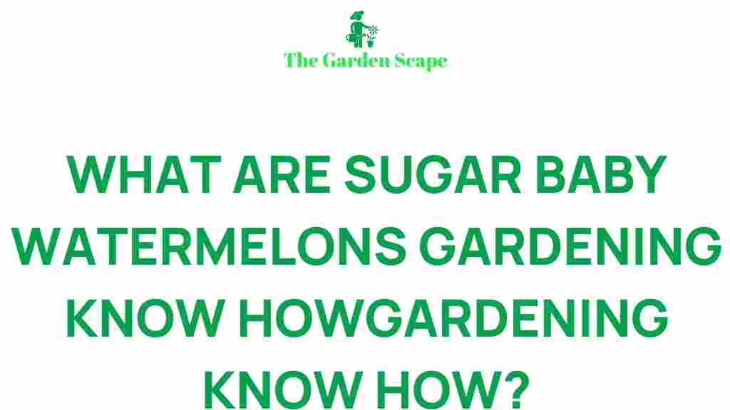 sugar-baby-watermelons-gardening-guide