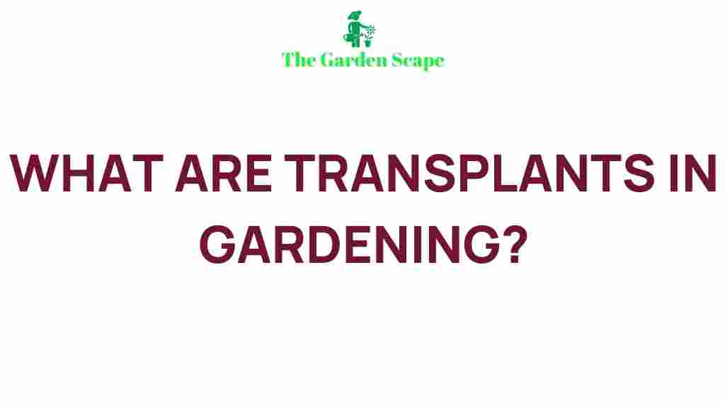 secrets-of-transplants-gardening