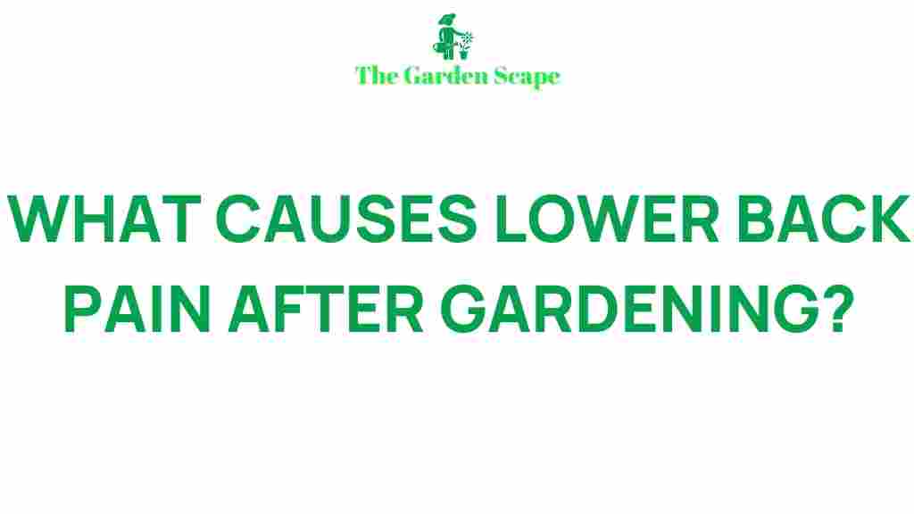lower-back-pain-gardening