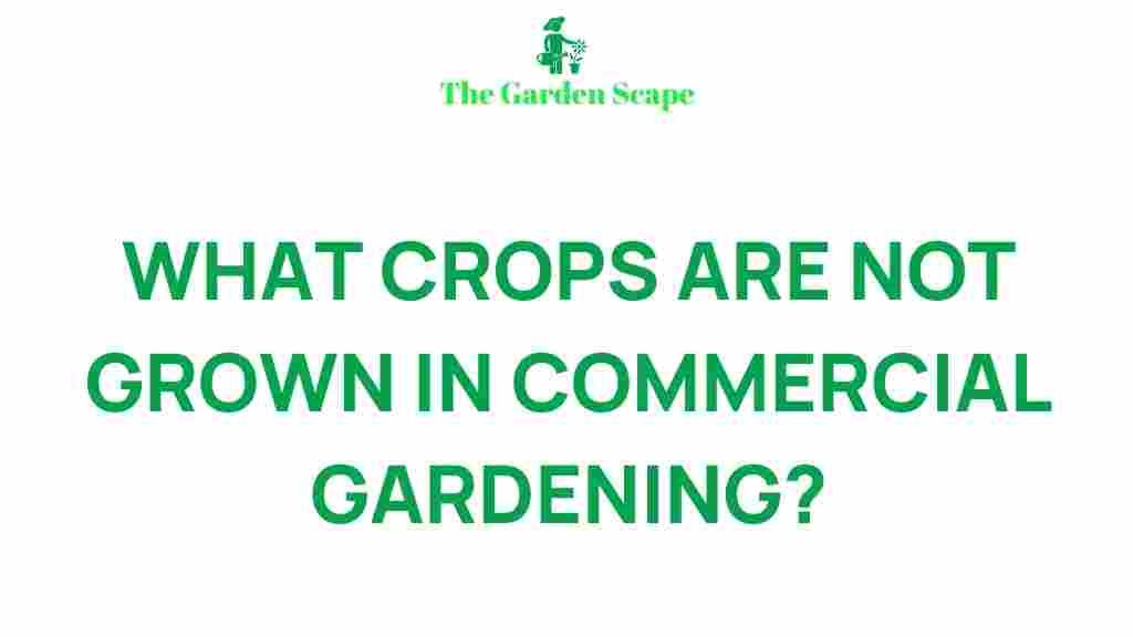 uncovering-secret-crops-commercial-gardening