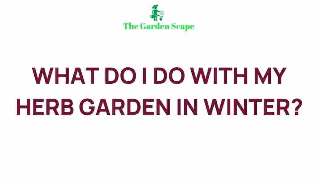 /winter-herb-garden-tips