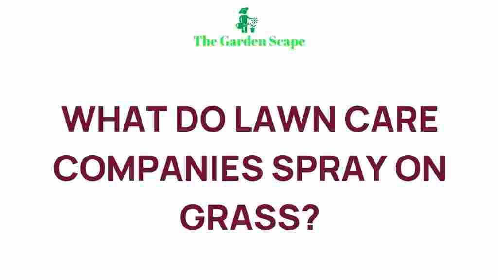 lawn-care-companies-spray-grass