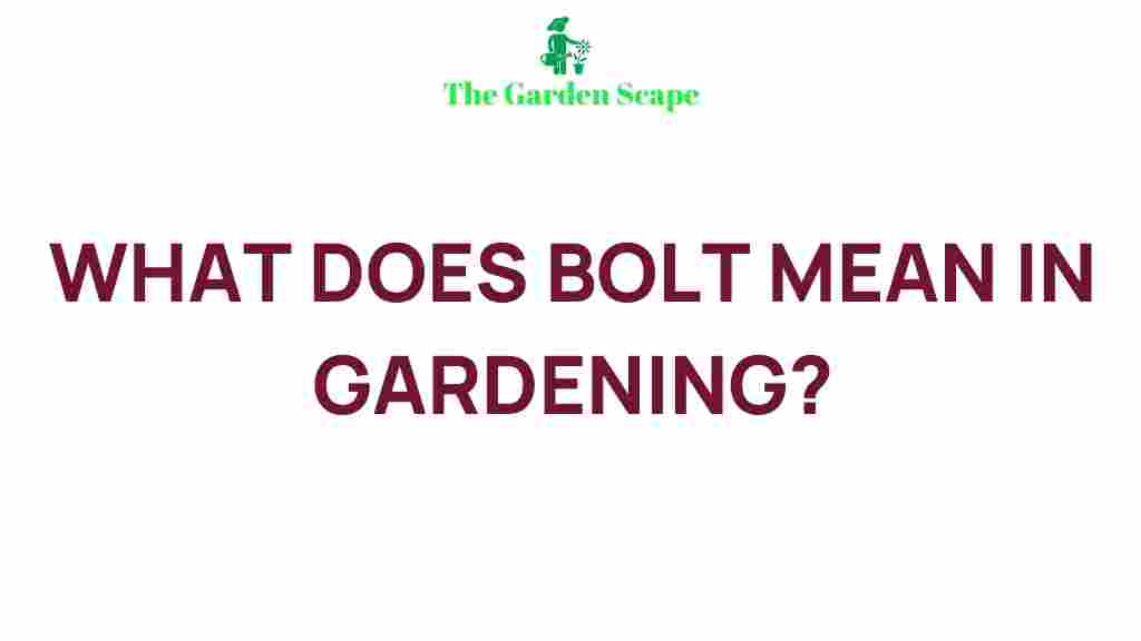 gardening-bolting-meaning