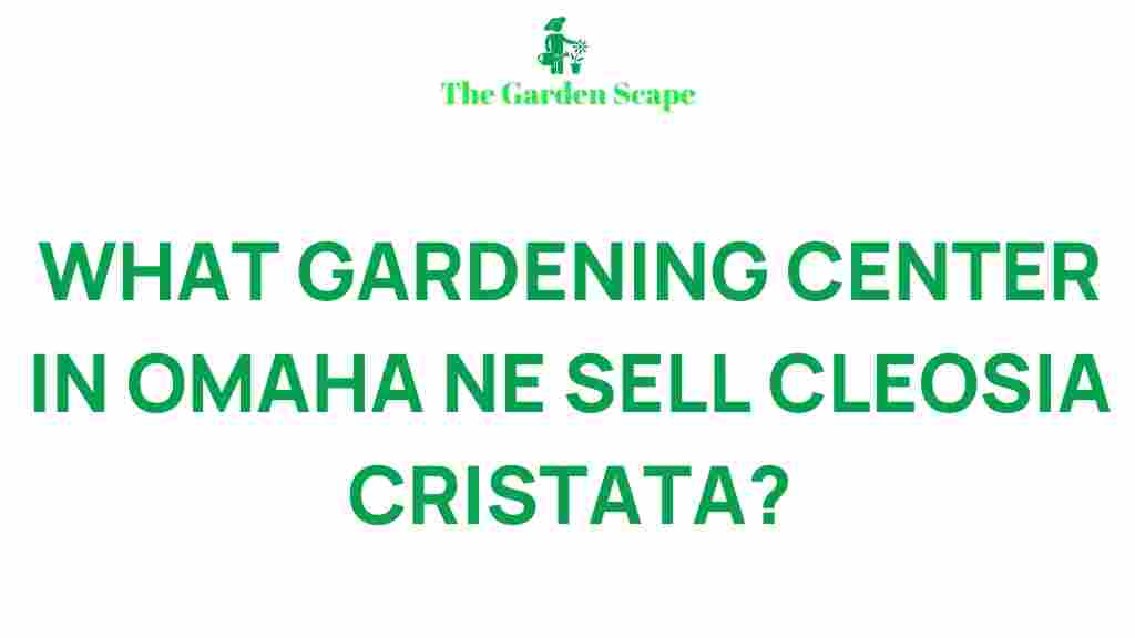 best-gardening-centers-omaha-ne-cleosia-cristata