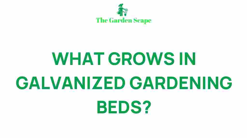 thriving-plants-galvanized-garden-beds