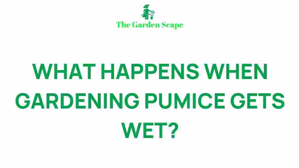 /wet-gardening-pumice