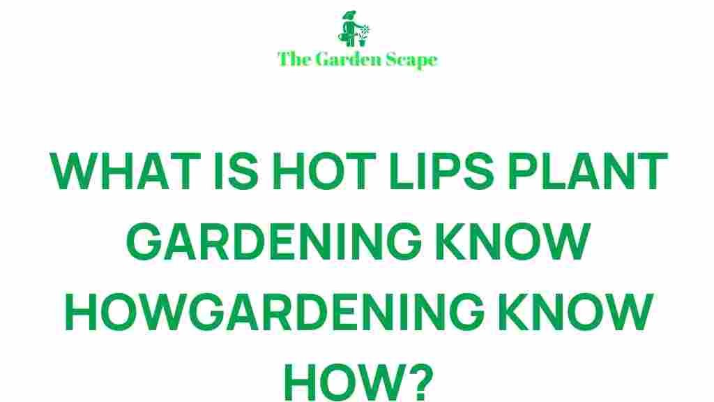 hot-lips-plant-gardening-tips