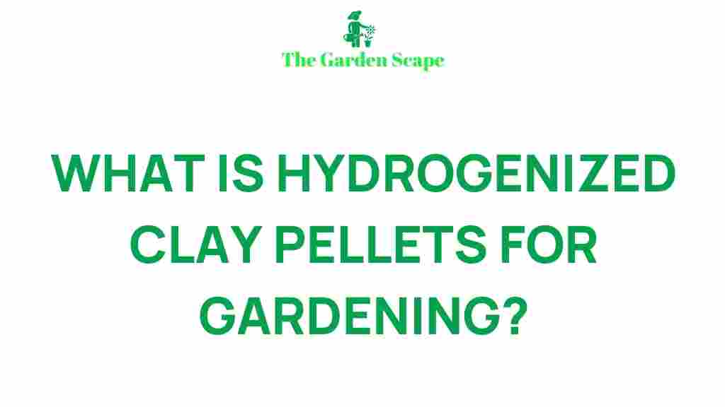 hydrogenized-clay-pellets-gardening