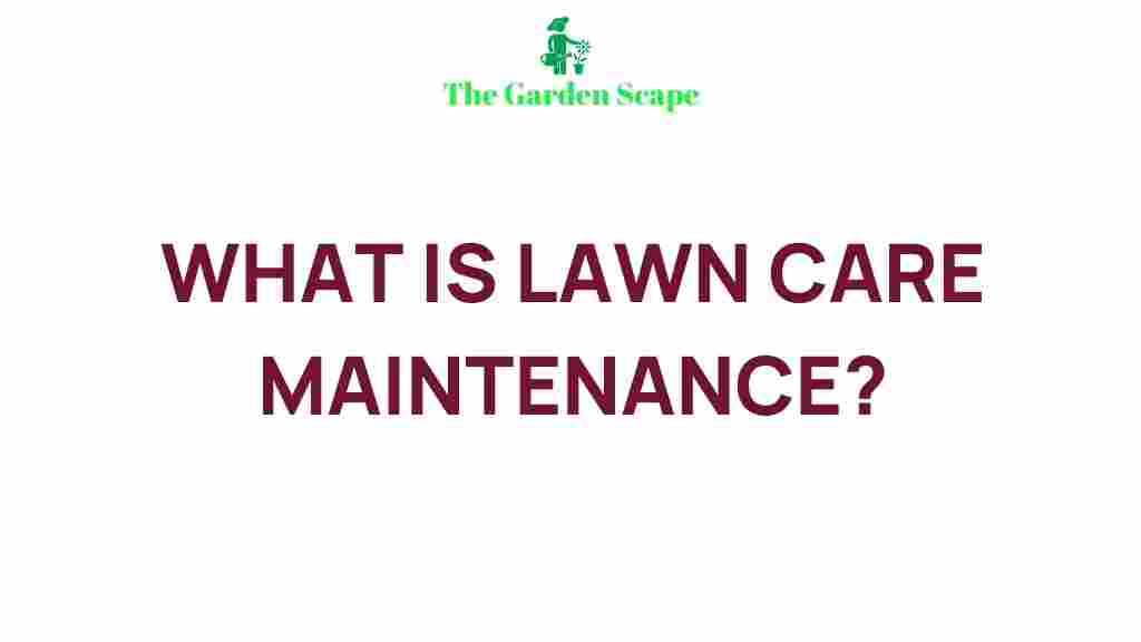 expert-lawn-care-maintenance